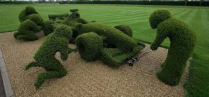 Our Top Tips on Keeping your Hedges looking Great