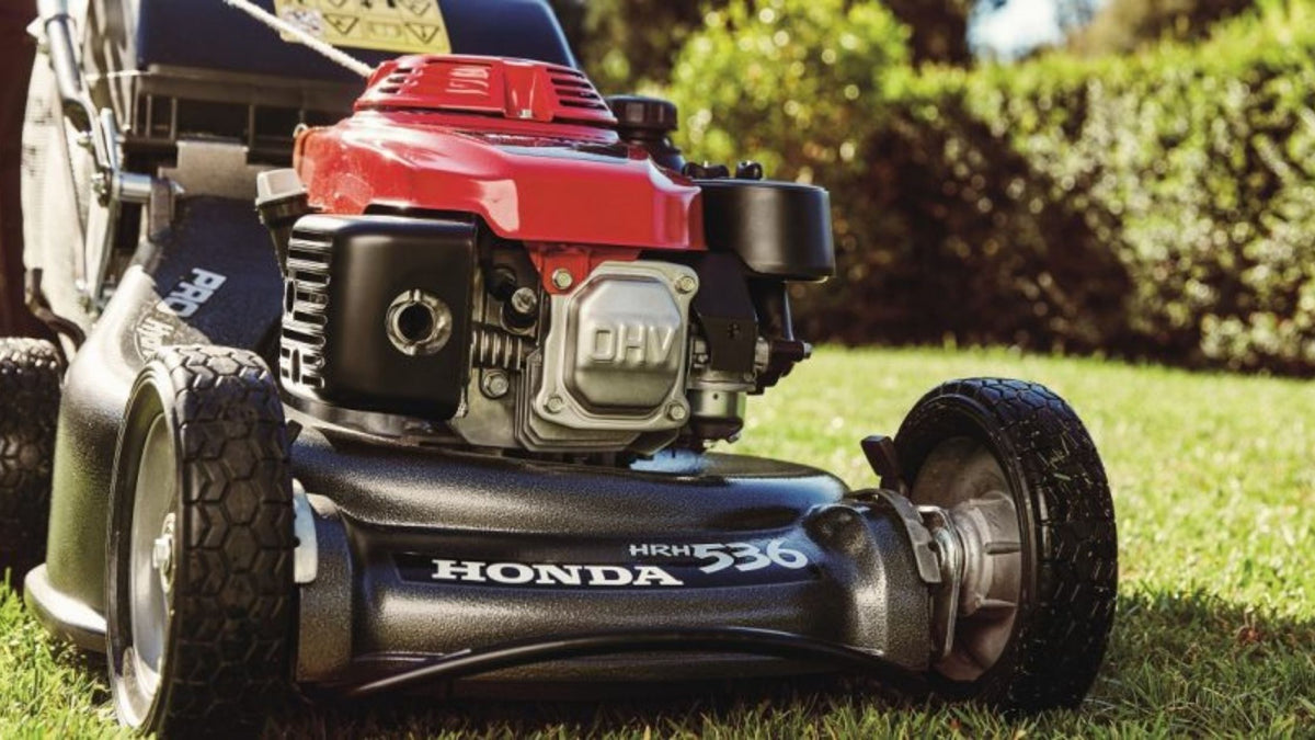 Looking after your lawn this summer!