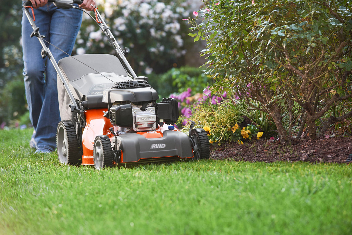 First lawn cut of the year-   Getting your lawnmower ready