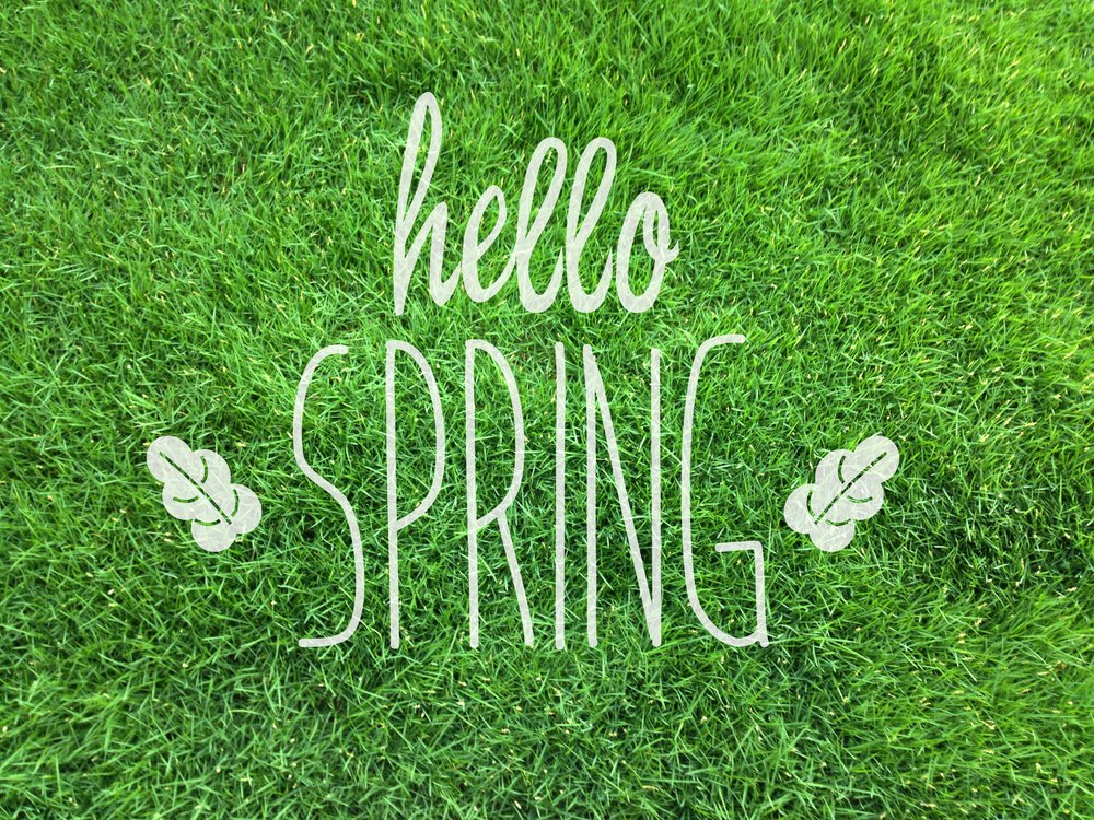 Spring in the garden -  Looking after your lawn while in Self-Isolation