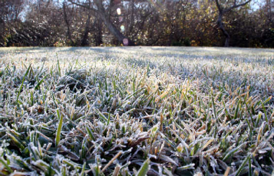The final Cut - Of the Season! Prepare your lawn for winter.