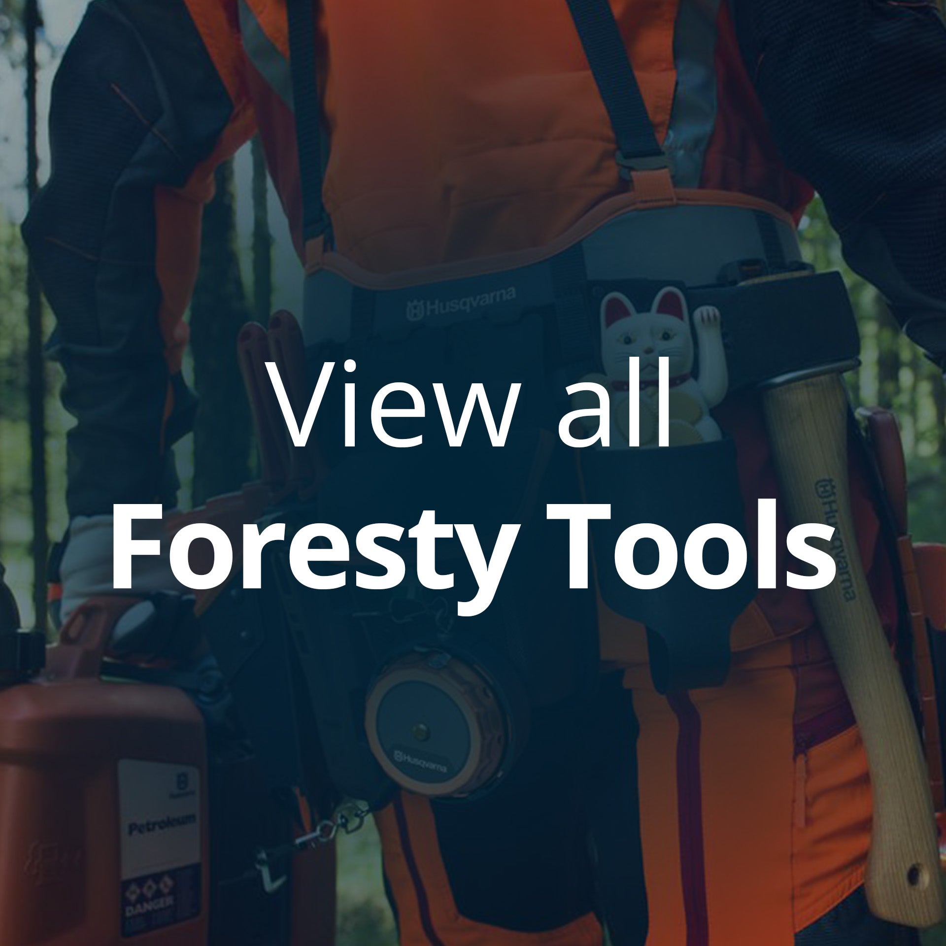 Forestry Tools & Arborist Equipment
