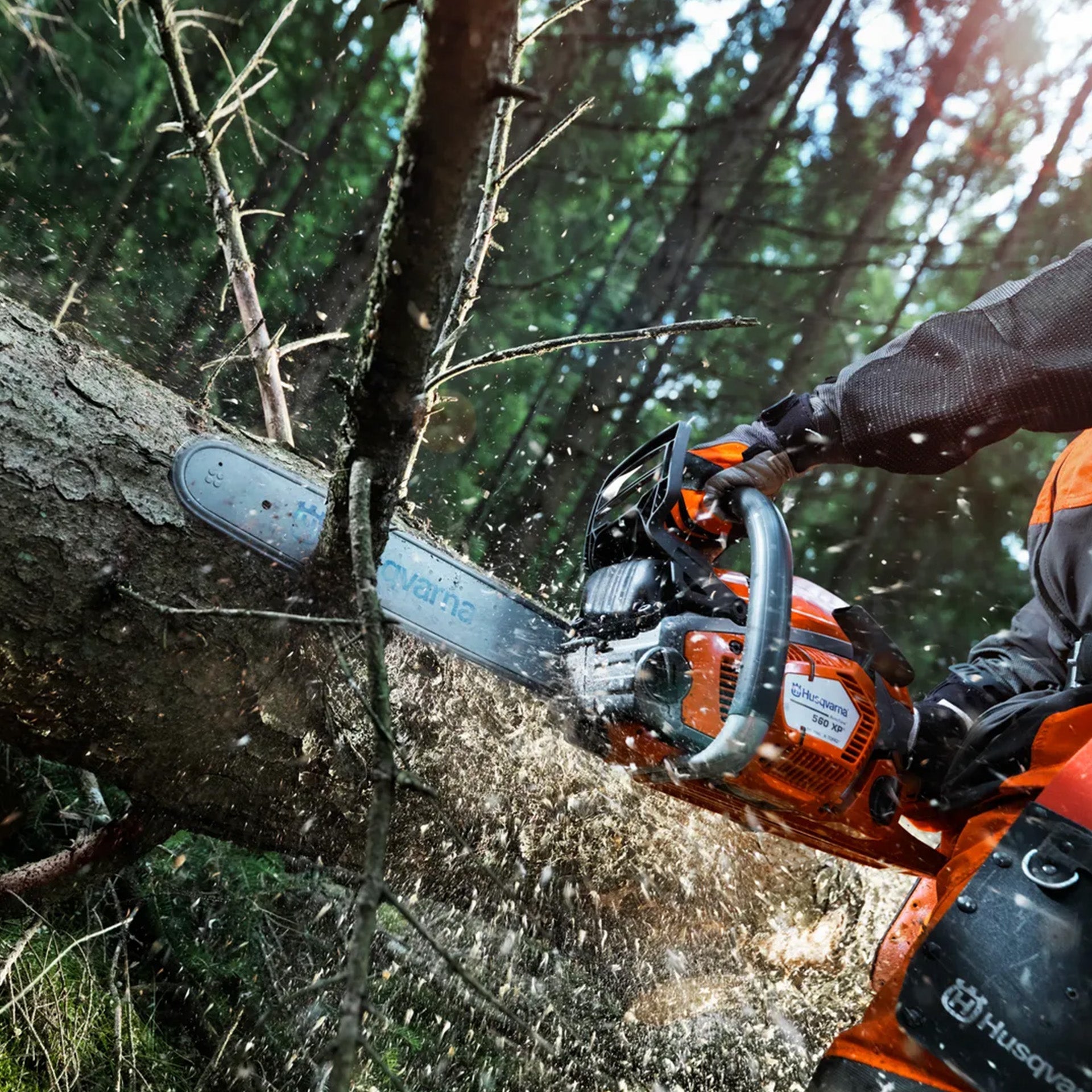 Professional Forestry & Arborist Chainsaws