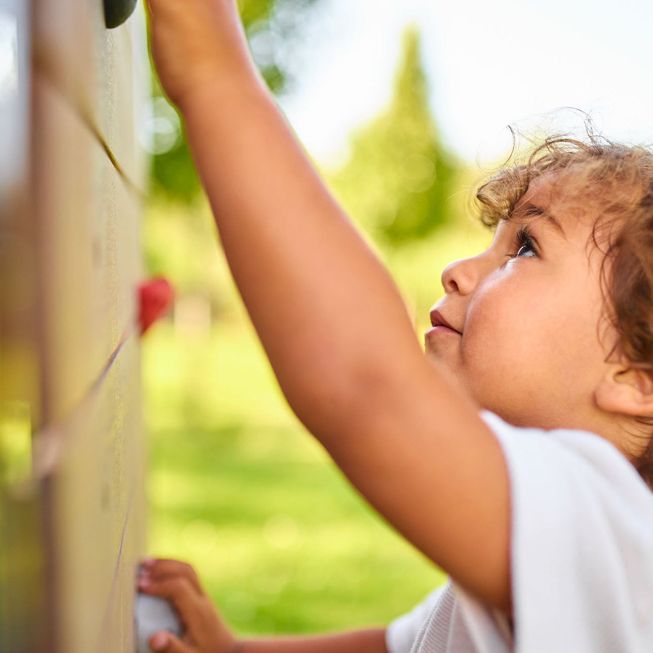 BERG PlayBase Climbing Wall