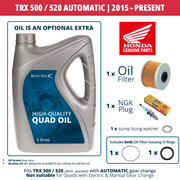 Honda Quad Service Kit - TRX420 Automatic 2009 - Present