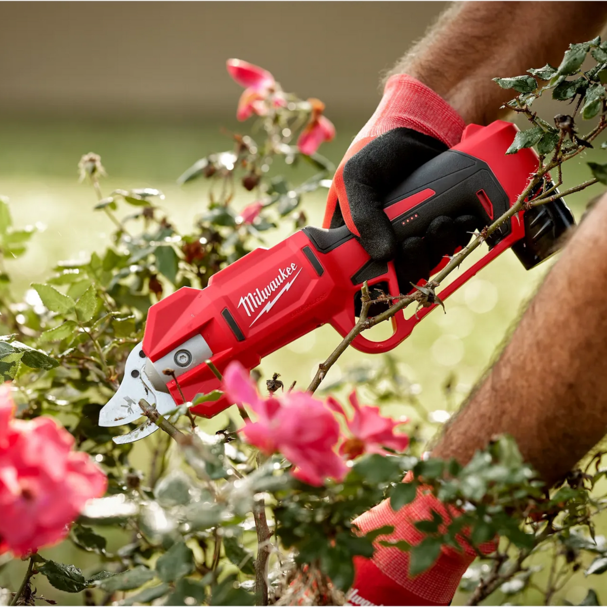 Milwaukee M12  Brushless Pruning Shears