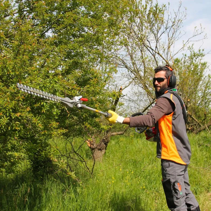Efco DS2410HCL Long Reach Hedge Trimmer