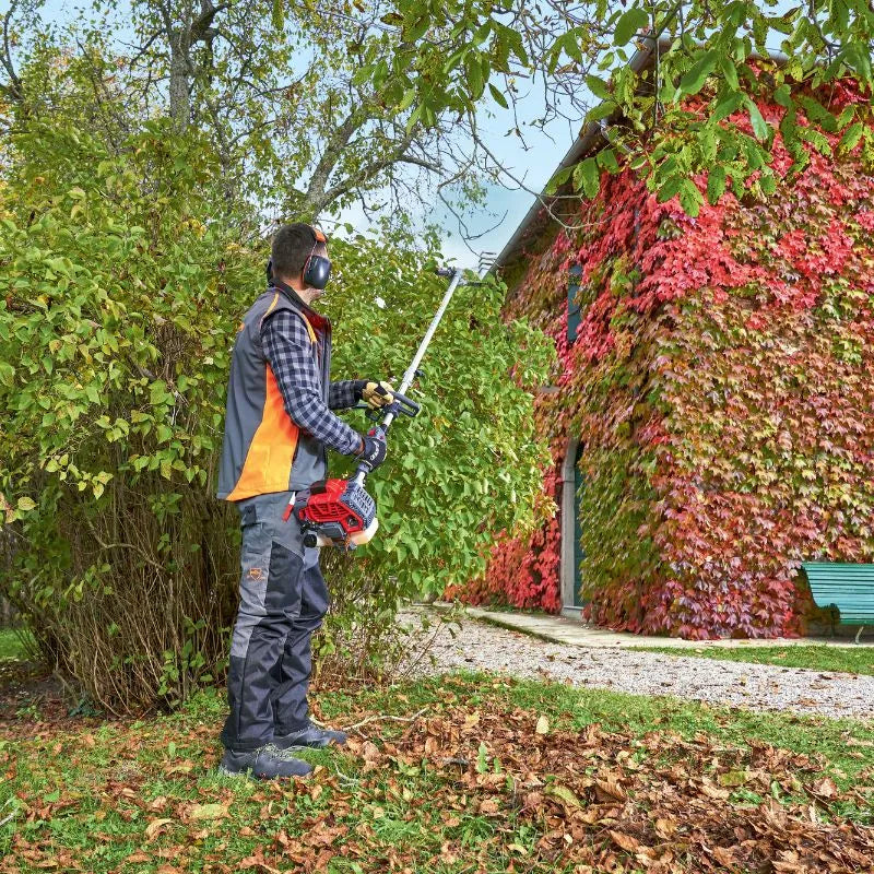 Efco DSH2500D-PU Multi Tool