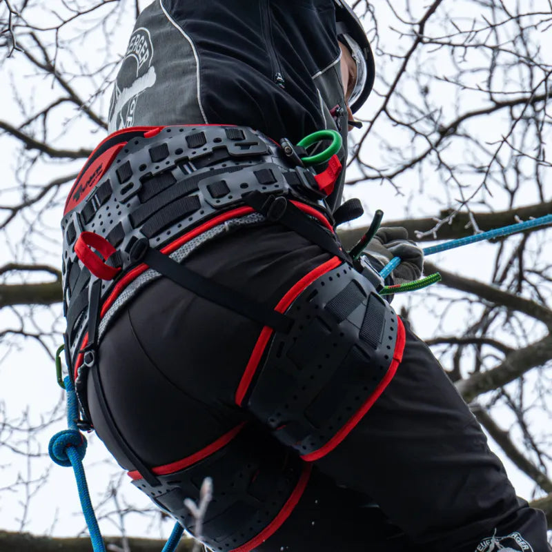 Teufelberger TreeMOTION Pro X Harness