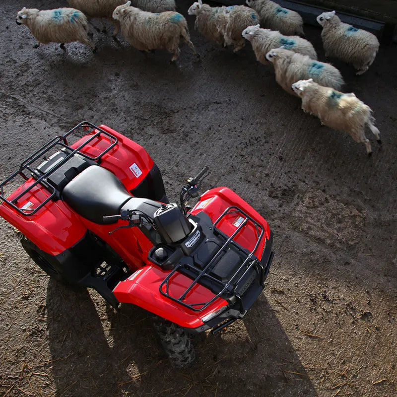Honda TRX420FM1 Manual Shift Quad