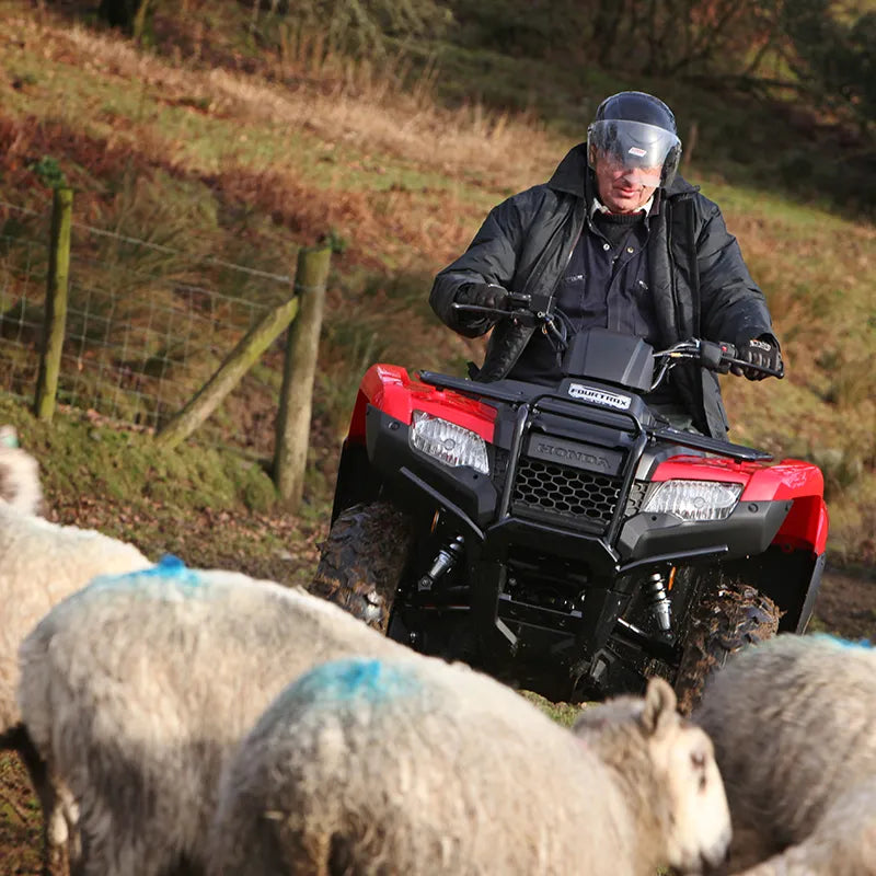 Honda TRX420FE Electric Shift Quad