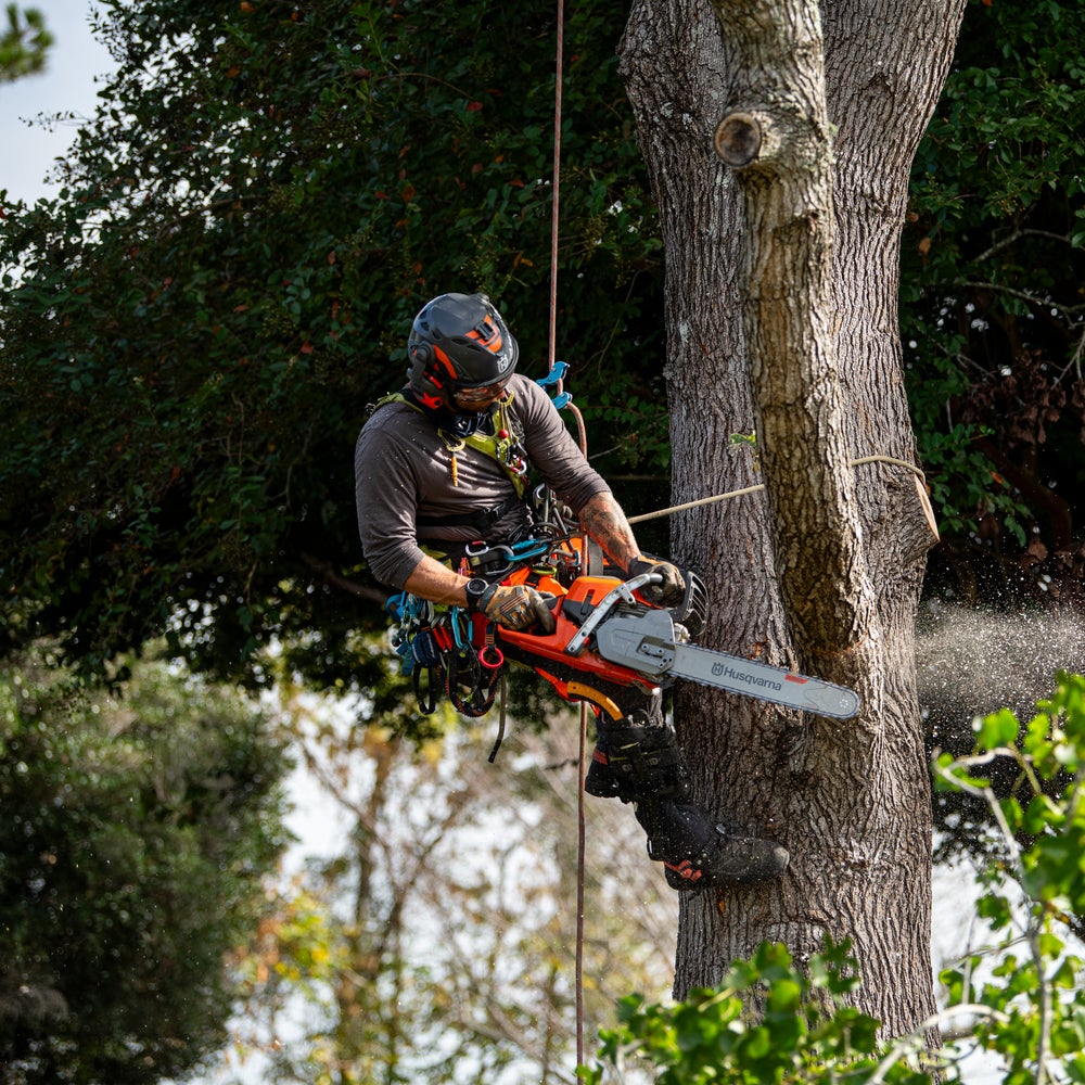 Husqvarna 564 XP Fuel Inject Chainsaw