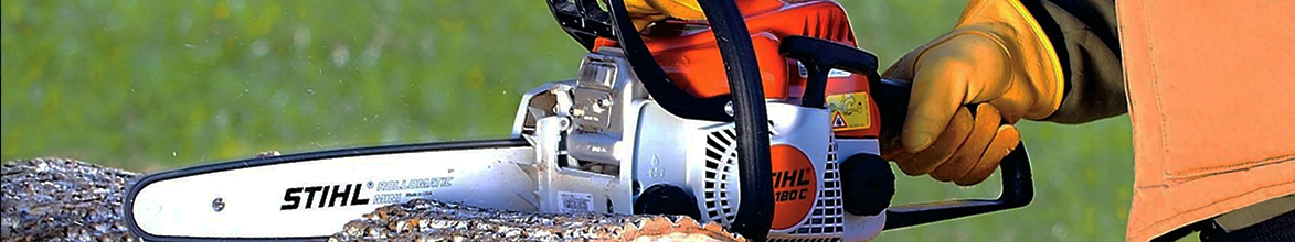 Cutting Tree with STIHL Chainsaw