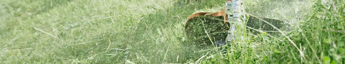 strimmer cutting grass