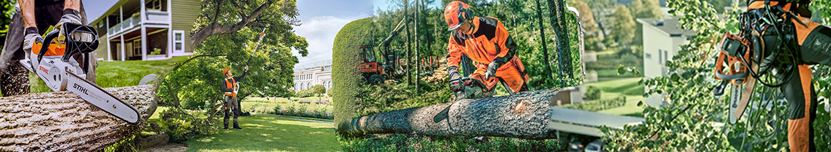 arrangements of Stihl Chainsaws being used cutting trees