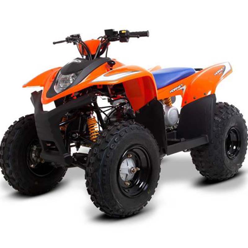 SMC Hornet 100cc Junior Quad | Robert Kee Power Equipment